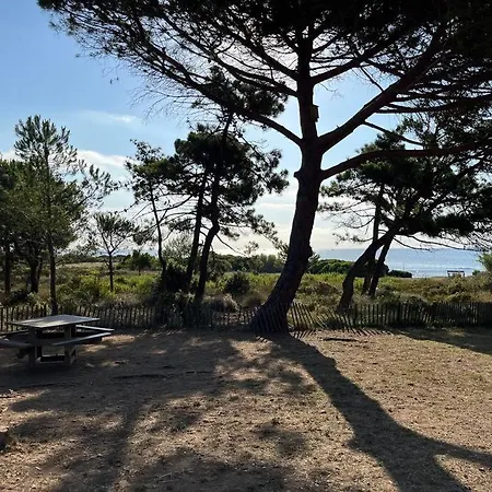 Vue Exceptionnelle - Mas T3 - Plages Nartelle & Sardinaux * سانت ماكسيم